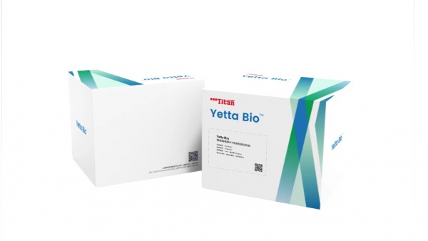 黄曲霉毒素M1快速检测试纸条