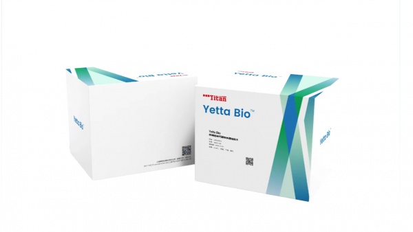 呋喃西林代谢物快速检测卡