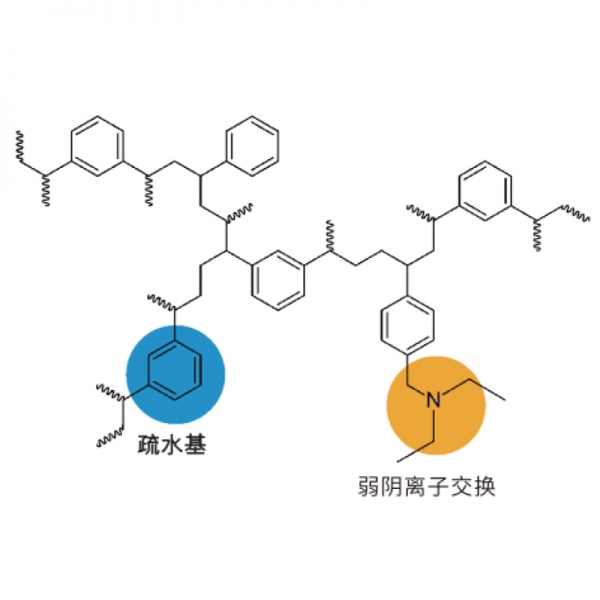 WAX 固相萃取小柱