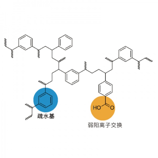 WCX 固相萃取小柱